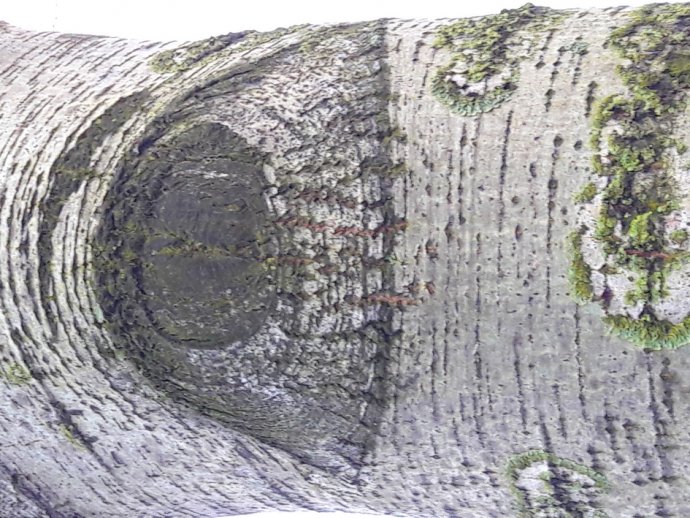 met mooi weer of ander weer..